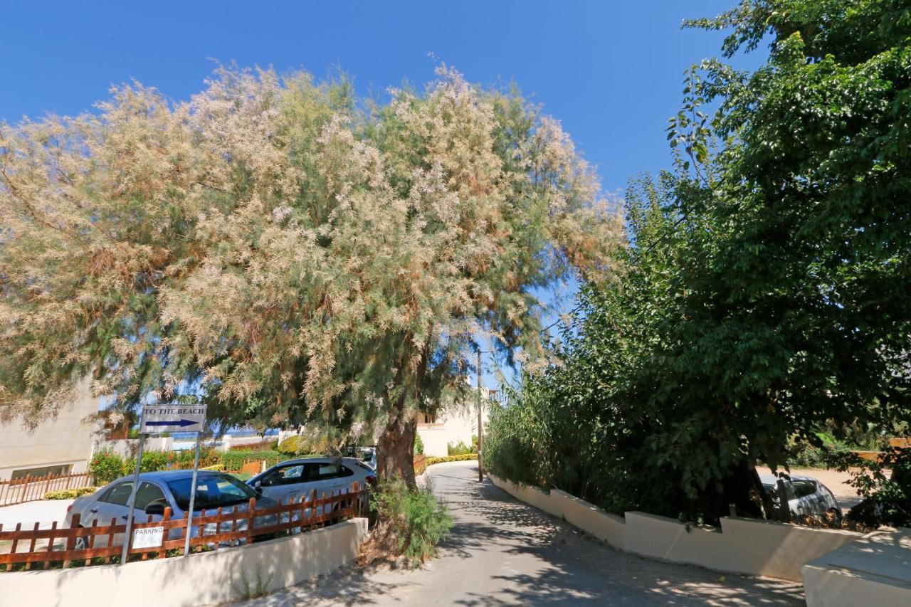Glaros Home Kato Daratso Dış mekan fotoğraf